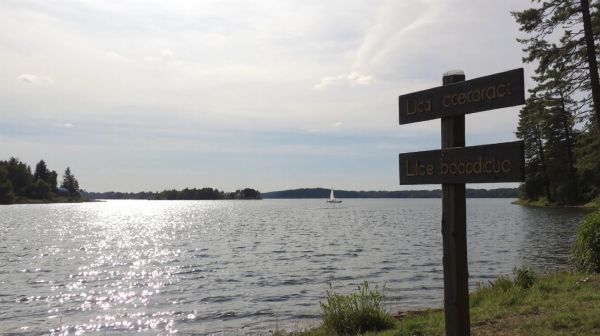 Top 5 campings économiques près du lac de la Thésauque à Toulouse